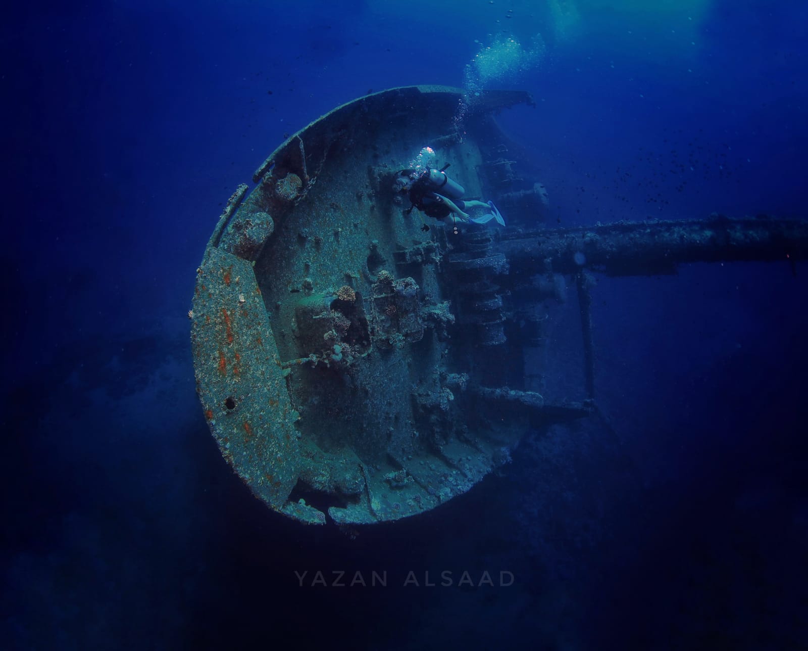 Diver exploring the stern of the Cedar Pride shipwreck, covered in coral